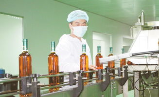 青海沙棘 遠游 全球 來自西寧 國家級 經濟技術開發區的蹲點報告 五